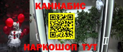 ГАЛЛЮЦИНОГЕННЫЕ ГРИБЫ Канаш