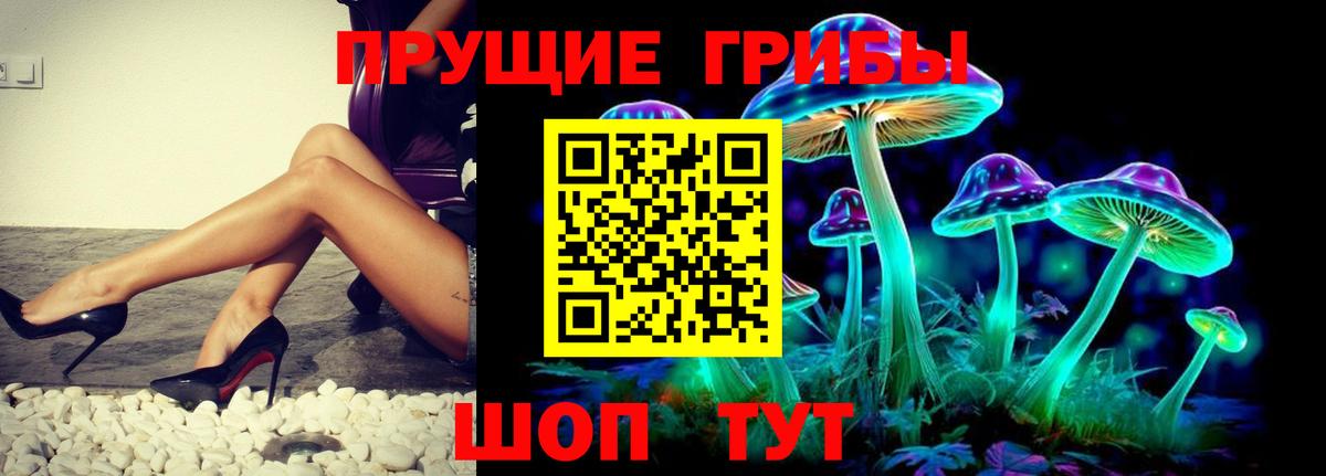 Галлюциногенные грибы Cubensis Усть-Илимск